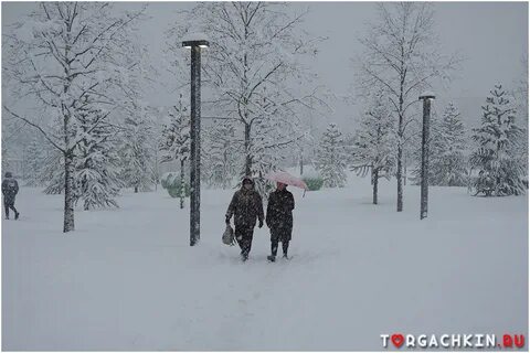 Снегопад 10
