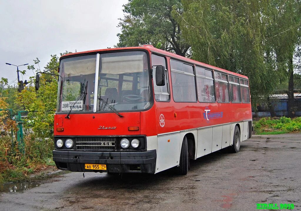 Икарус 256.55. Икарус 256 Тула. Ikarus 256.55. Ikarus 256 Тула. Тула узловая купить