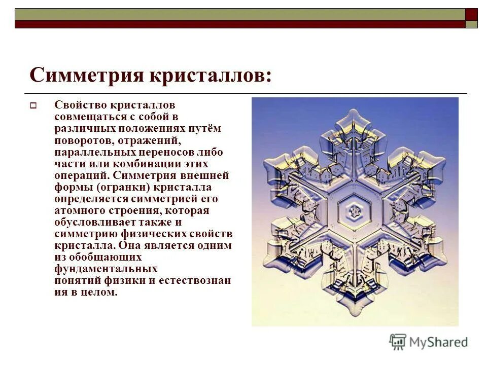 параметры симметрия. двусторонняя симметрия. параметры симметрия. параметры симметрия. симметрия в физике.