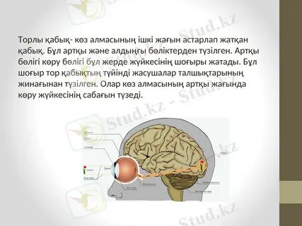 Жалаңаш жапон қыздарының кискалары