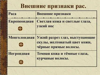 Внешние особенности