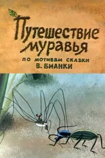 Муравьев путешествие