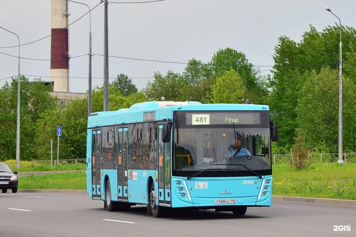 Маршрут 185. 25 москва. Санкт-петербург маз 203. 185 автобус маршрут санкт-петербург. 185 автобус маршрут.