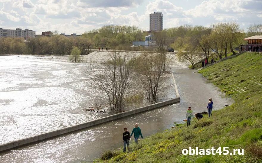 Уровень тобола в городе кургане. Река тобол курган. речка тобол в кургане. набережная реки тобол в кургане. мост через реку тобол курган.