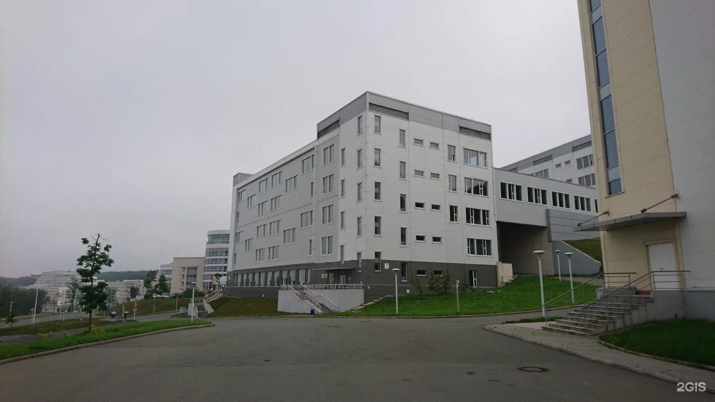 Факультет гуманитарных наук вшэ спб. Разные институты. Дальневосточный федеральный университет. Государственный академический университет гуманитарных наук москва. Школа гуманитарных наук двфу.