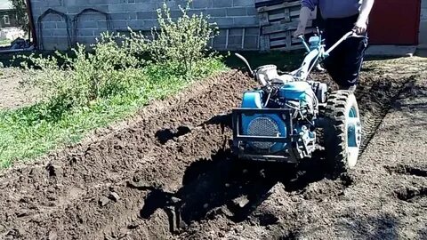 Посадка картошки мотоблоком плугом