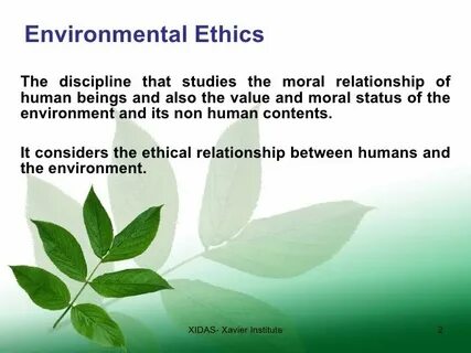 Environment эссе