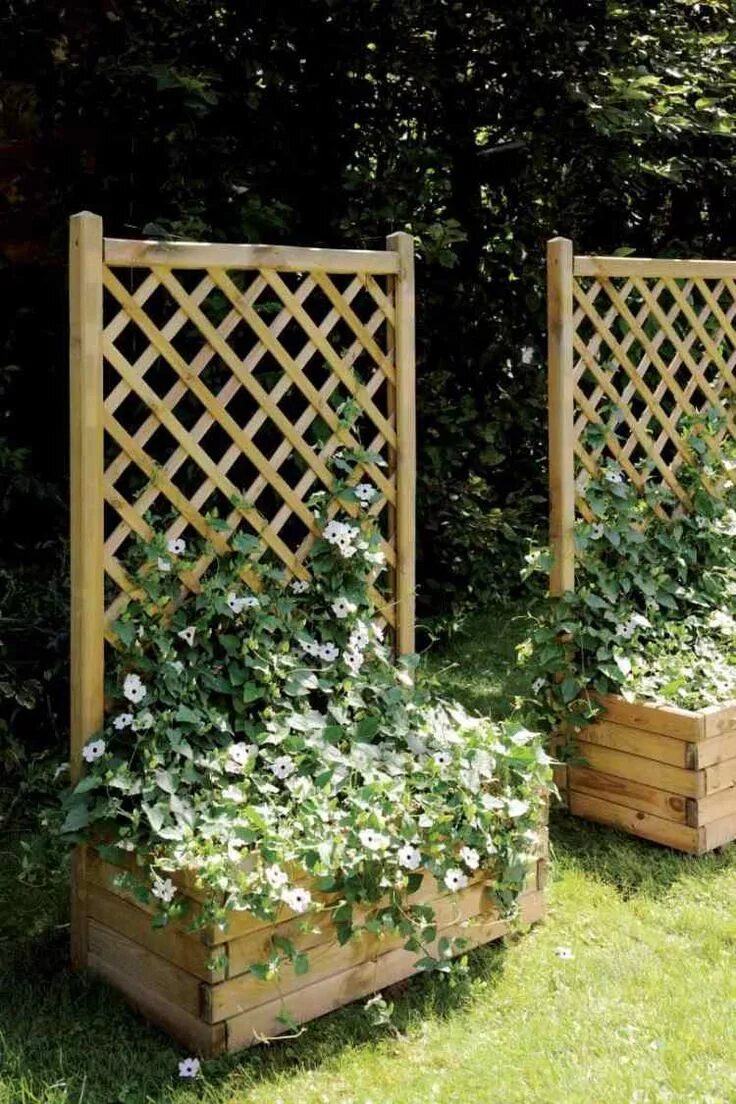 6' X 2' LARGE SQUARE TRELLIS PANEL - PRESSURE TREATED WOODEN TIMBER FENCING. Eba