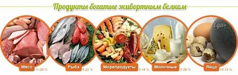 Какие белки содержатся в рыбе