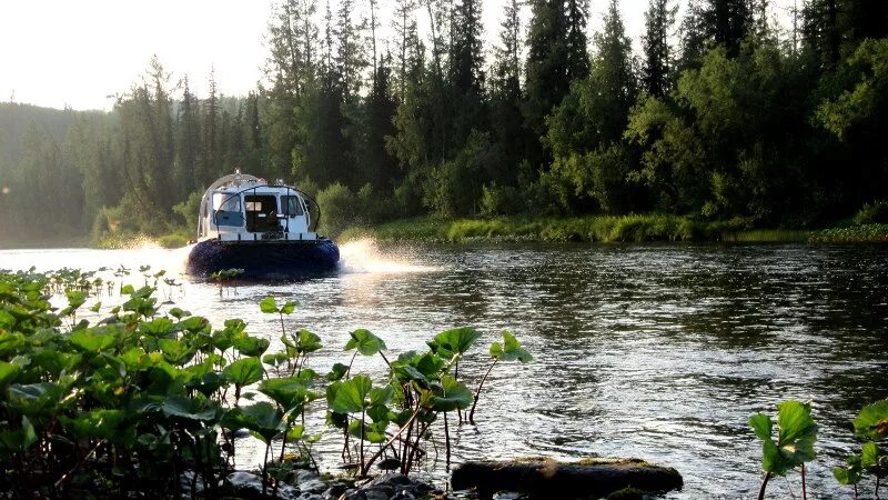 Подкаменная Тунгуска. Река Столбовая приток Подкаменной Тунгуски. Река нижняя Тунгуска рыбалка. Тутончаны Красноярский край. Приток подкаменной