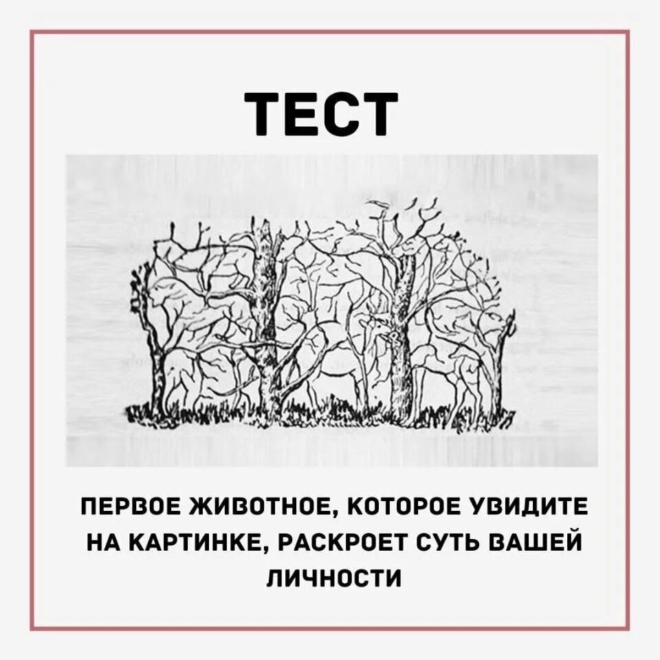 Сколько видите на картинке. Интересные тесты. Самые интересные психологические тесты. Психологический тест рисунок. Интересные психологические тесты в картинках.