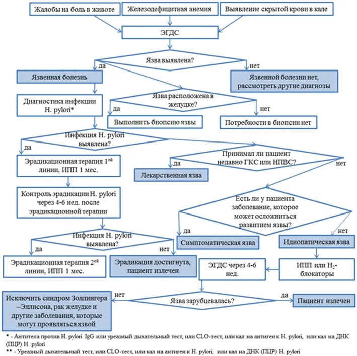 Рекомендации по ведению пациентов. Алгоритм ведения пациентов с язвенной болезнью. Алгоритм диагностики и лечения язвенной болезни. Алгоритм диагностики язвенная болезнь желудка. Алгоритм обследования больного язвенной болезнью.