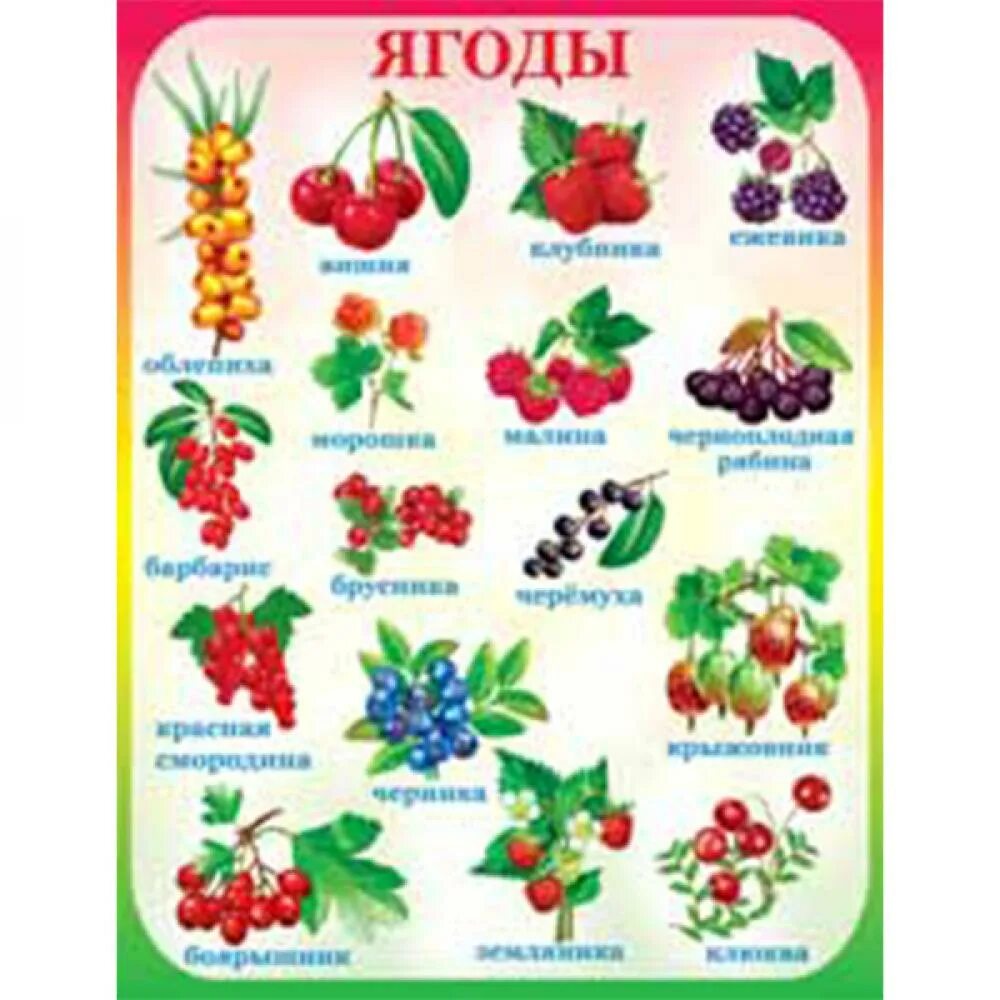 Как называется ягодка. Плакат. Ягоды. Ягоды названия. Садовые ягоды названия. Ягоды плакат для детей.