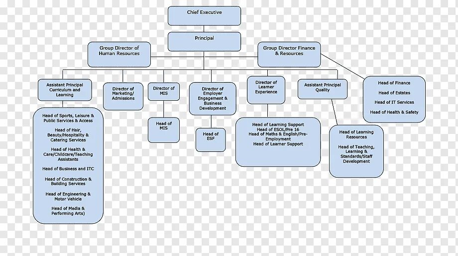 Pinteres инжиниринг. Head of engineering. Head of engineering. Head of engineering. Владельческая структура компании.