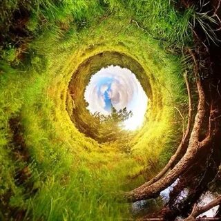 Into the rabbit hole