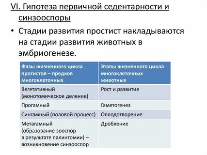 Первичные гипотезы
