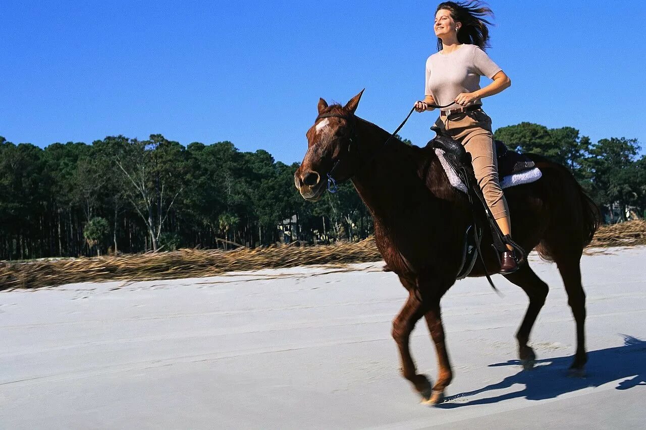 Скачет мс. Сальма Хайек верхом на коне. Девушка верхом на лошади. Девушка на коне. Девушка катается на лошади.