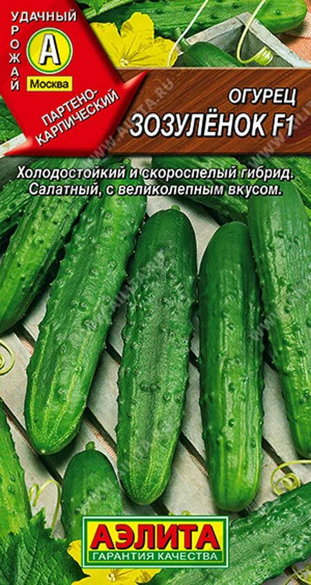 Огурец зозуленок фото Огурец зозуленок фото