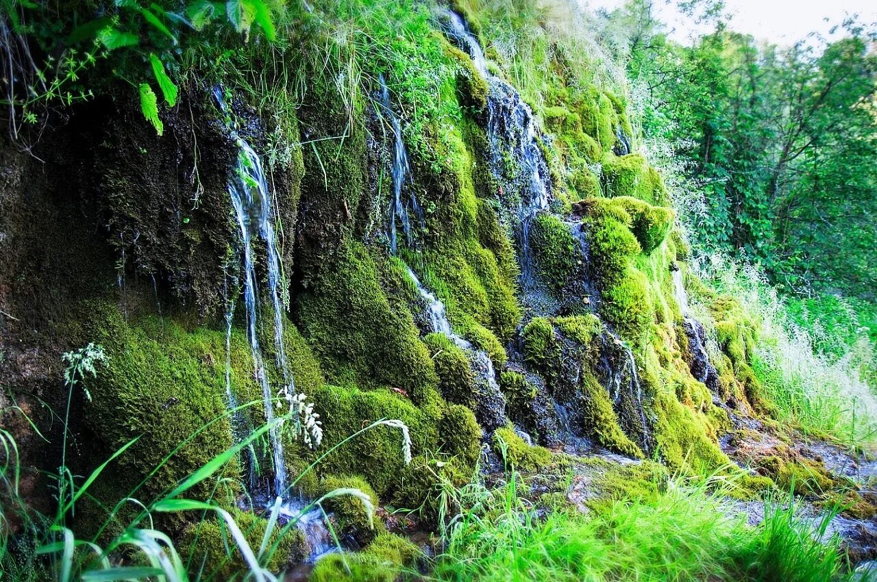 Долина 7 водопадов. Водопад «долина семи ручьев». Долина 7 водопадов. Водопад чараур дагестан. Верея водопады семь ручьев.