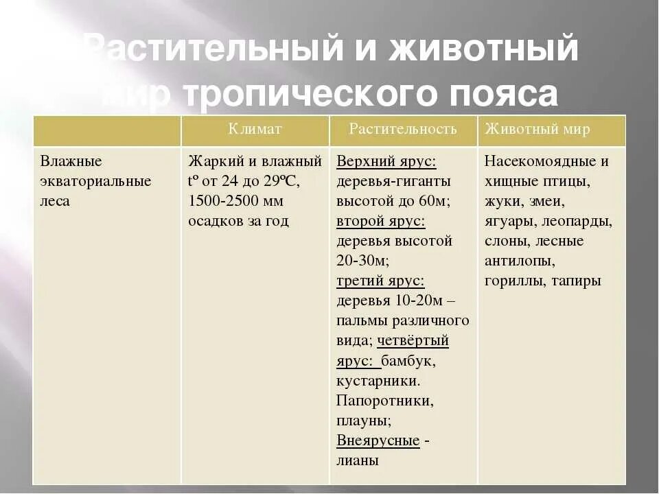 Таблица жизнь в тропическом поясе 6 класс. Жизнь в тропическом поясе таблица. Природные зоны тропического пояса таблица. Растительный и животный мир тропического пояса таблица.