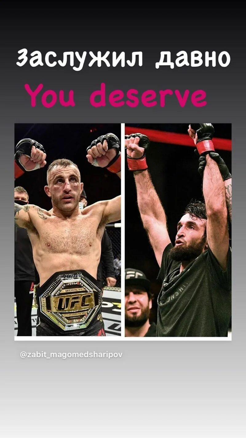Забит чемпион. Забит магомедшарипов обои на телефон. забит магомедшарипов ufc. забит магомедшарипов цитаты.