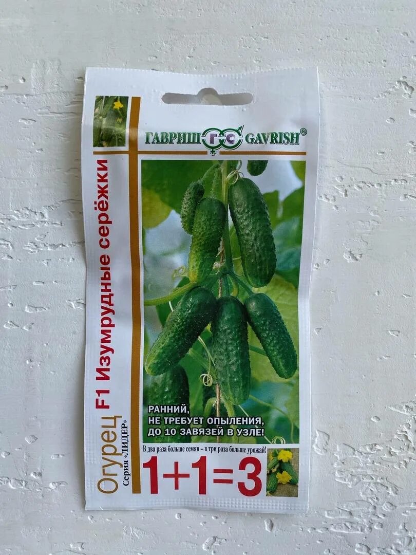 огурец изумрудные сережки f1. «изумрудные сережки f1». огурцы изумрудные сережки. сорт огурцов изумрудные сережки. семена огурцов изумрудные гавриш.