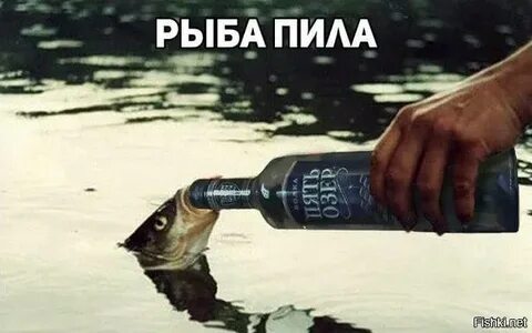 Пьющая рыба