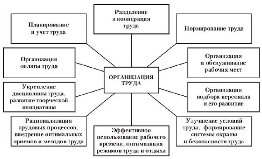 Система организации труда персонала. Основные составляющие системы организации труда. Сущность задачи и содержание организации труда на предприятии. Схема элементов организации труда. Основы организации труда и управления