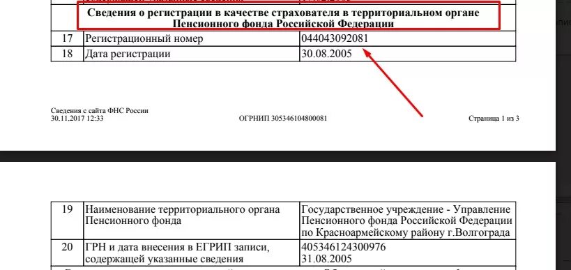 Получить номер пфр. Регистрационный номер пенсионного фонда. Регистрационный номер в ПФР для ИП. Рег номер ПФР. Регистрационный номет ИП В СФР.