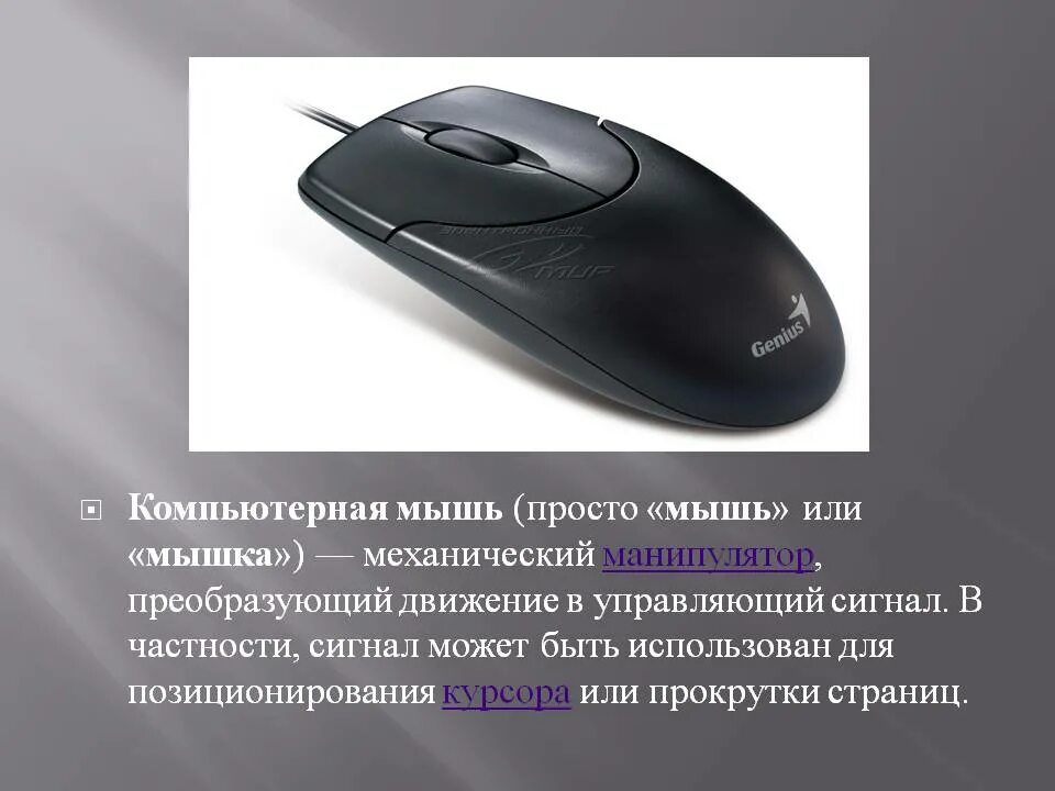 Фактор мыши. Мышь компьютерная. Манипулятор мышь. Мышь компьютерная слайд. Строение компьютерной мыши.