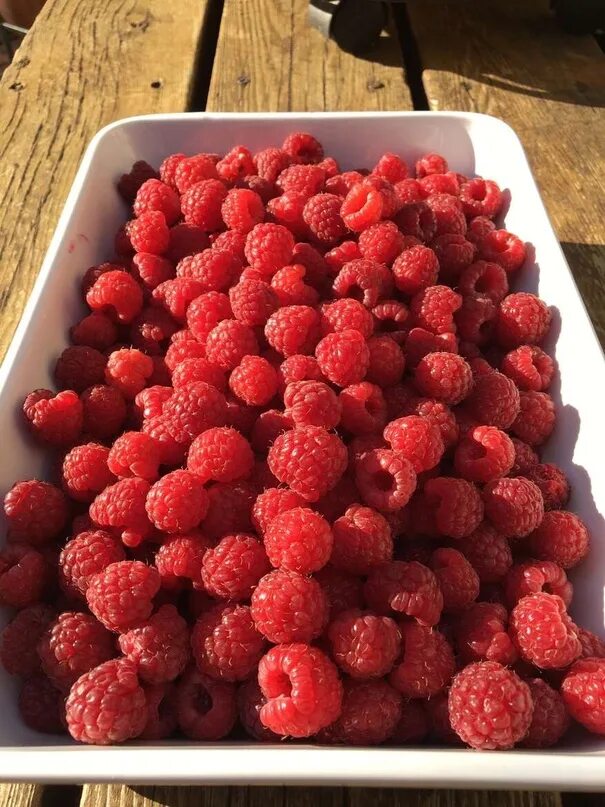 Raspberry cranberry