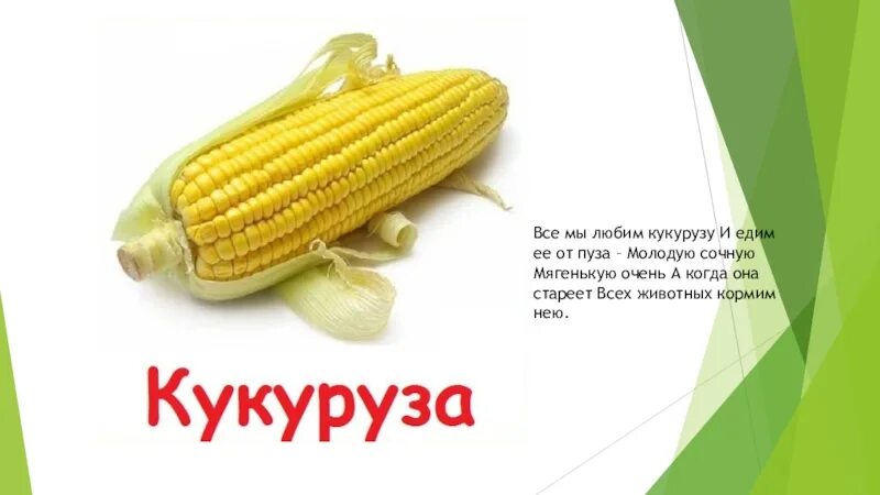 Кукуруза. Детская загадка про кукурузу. Стишок про кукурузу для детей. Кукуруза загадка. Детские стихи про кукурузу.