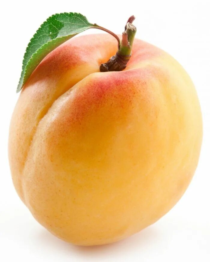 Абрикос png. Нектарин и абрикос. Персик (фрукт). Персик и абрикос. Персик на белом фоне.