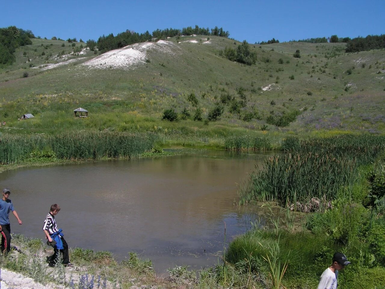 сосновая маза хвалынского. сосновая маза хвалынского. хвалынск сосновая маза. сосновая маза школа. сосновая маза хвалынский район саратовская область.
