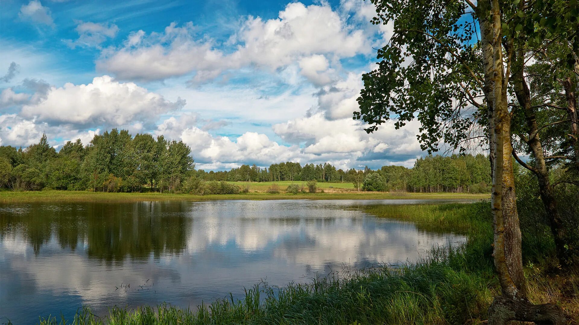 Вода родной край. Озеро Селигер. Река Березка Тверская область. Озеро Карабожа. Река Волга лесостепь.