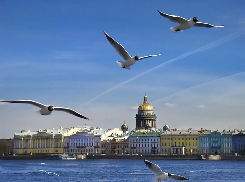 небо над питером. белые ночи нева питер. рассвет на реке нева. небо над питером. туман и тучи петропавловская крепость в санкт-петербурге.