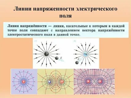 Линии вектора напряженности электростатического поля
