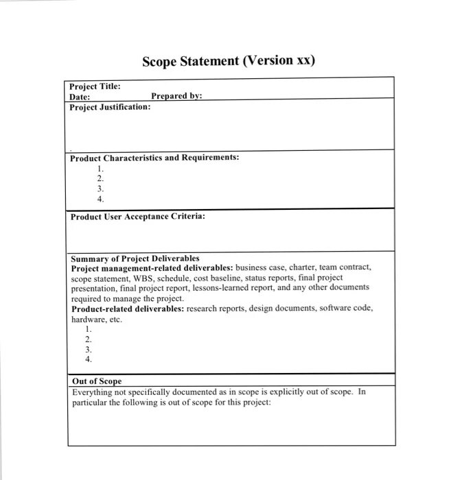 Scope of application. Project scope example. scope statement. vision and scope document примеры. scope в бизнес анализе.