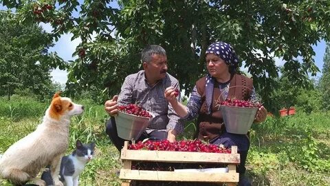 Настоящая сельская жизнь