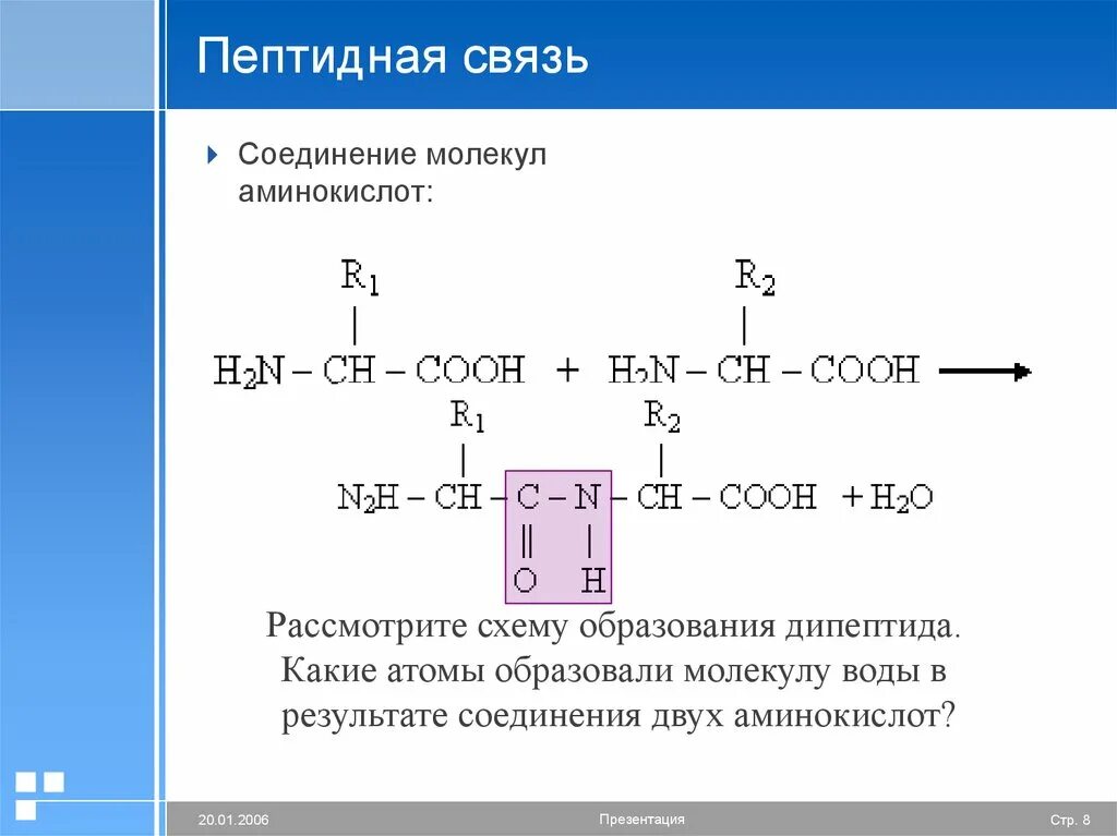 Пептидные связи есть в. Соединить две аминокислоты пептидной связью. Соединение из двух аминокислот Соединенных пептидной связью. Аминокислоты образование пептидной связи. Соединение аминокислот пептидными связями.