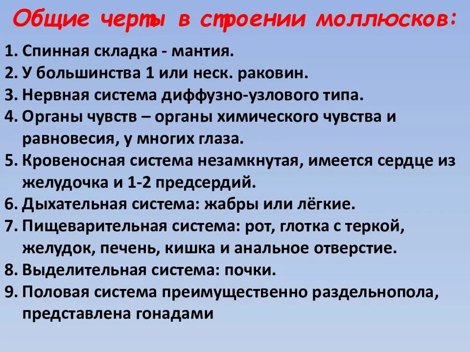 В самых общих чертах. Общая характеристика моллюсков. Тип моллюски общая характеристика. Общая характеристика малюсок. Общие черты моллюсков.