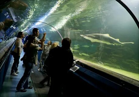 Deep sea world