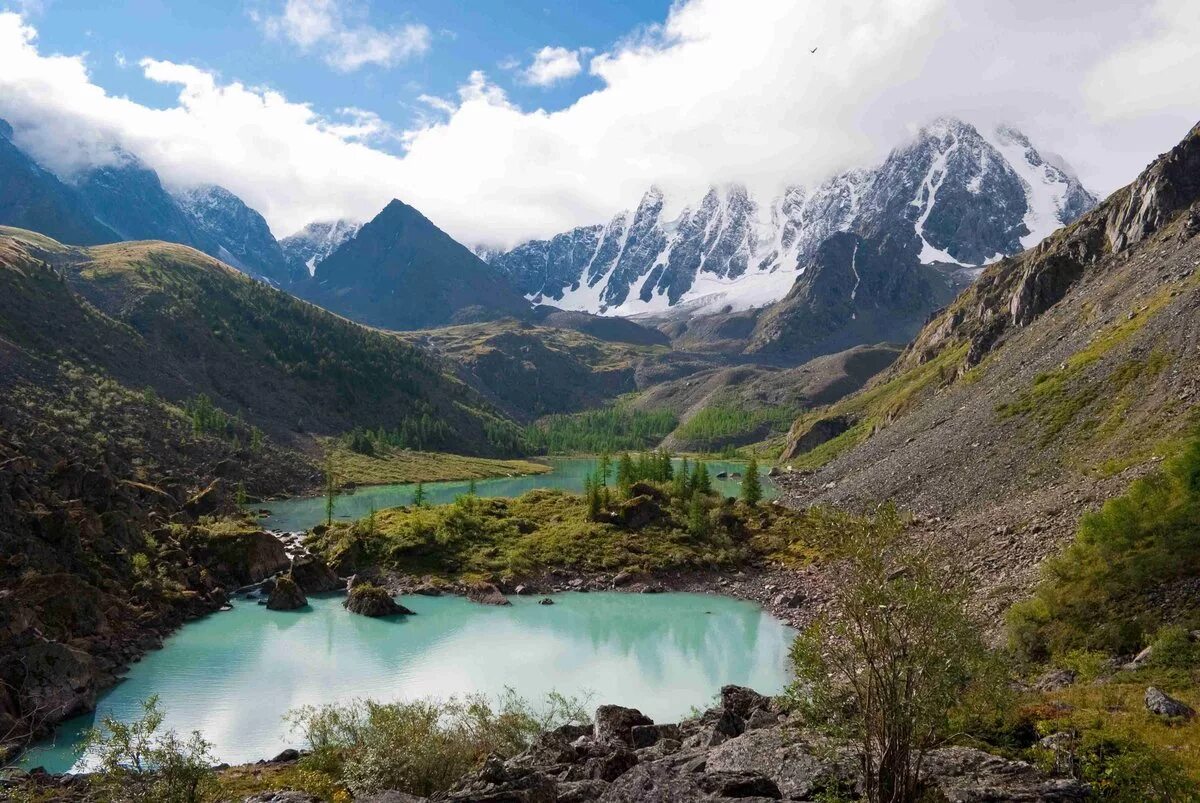 Путешествия природа россии. Алтай и Алтайские горы. Белуха Алтай. Кучерлинское озеро. Высокогорье Алтая.