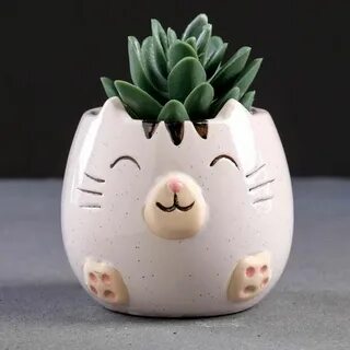 Цветочные горшки кошки