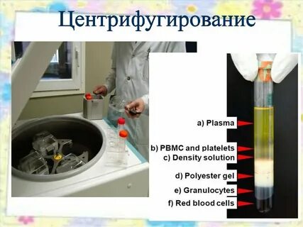 Основы метода центрифугирования