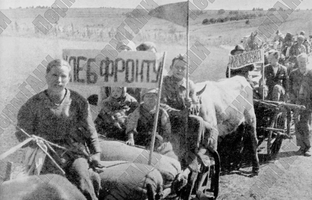 Труженики тыла в годы вов колхозы. Староминская сейчас. Труженики староминской. Труженики староминской. Труженики староминской.