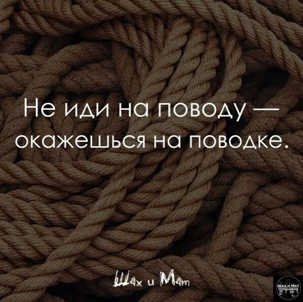 Гни свою линию картинки. Гни свою линию цитаты. Гни свою линию арт. Не Гни свою линию. Гну свою линию текст