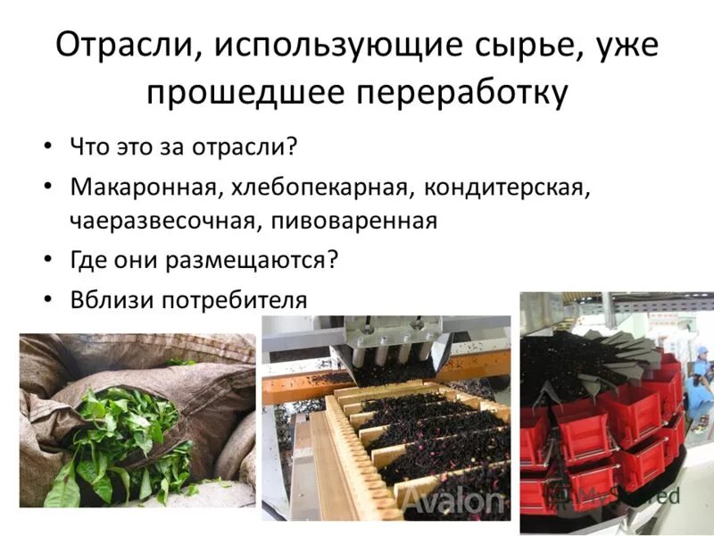 традиционные отрасли промышленности. без отрасли. отрасли и подотрасли сельского хозяйства. отрасли экономики 3 класс. виды отраслей производства.