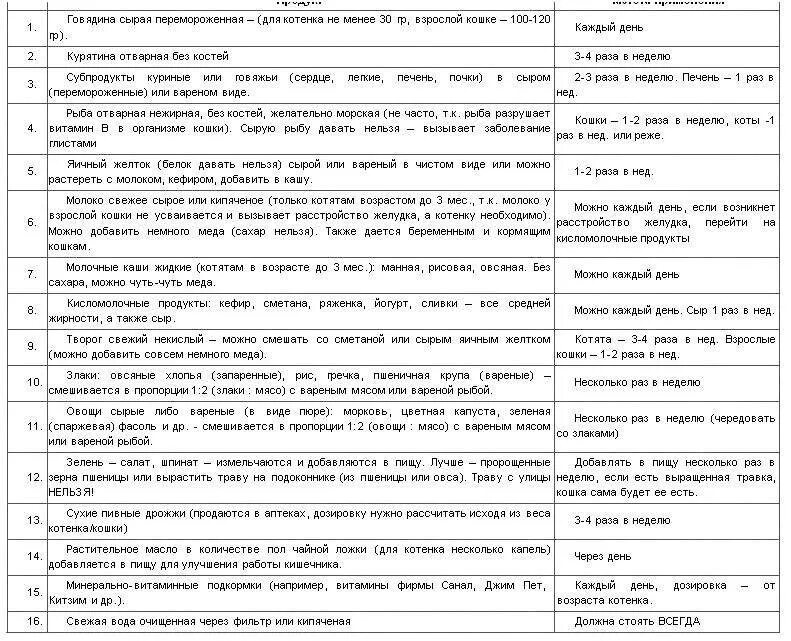 Кормление котят по месяцам таблица Пин от пользователя Анна на доске для собаки Котопес