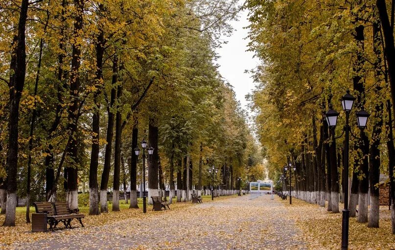 Какой октябрь в ярославле